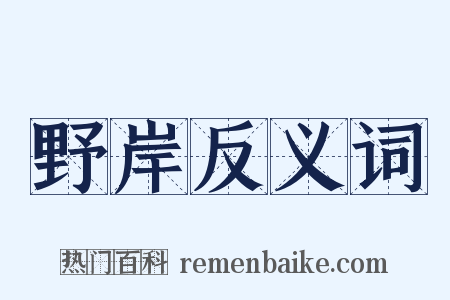 野岸反义词是什么意思的图片